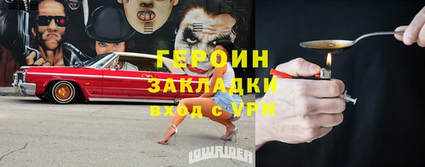 винт Ельня