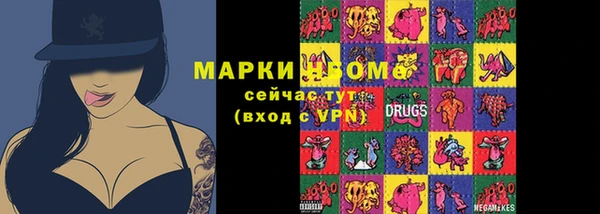 сатива Елизово