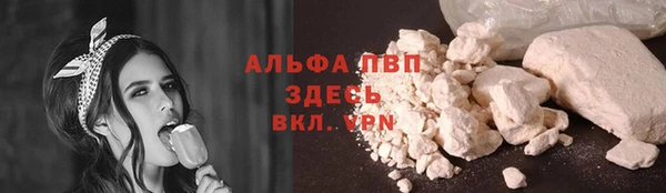 ПСИЛОЦИБИНОВЫЕ ГРИБЫ Покачи