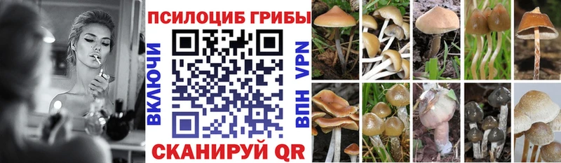 Галлюциногенные грибы мицелий  Каменногорск 